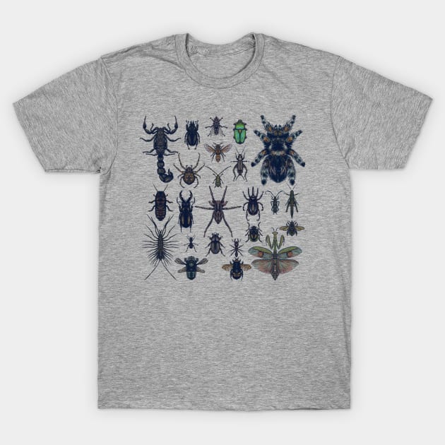 Pastel Insectarium T-Shirt by Greydn